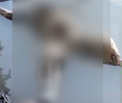 Heboh Lagi, Ditemukan Mayat Wanita Mengapung Diperairan Sungai Tanjung Raja Muara Enim