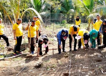 Polsek Gunung Megang Polres Muara Enim Bergerak Tanam Jagung di Desa Pagar Dewa Benakat 