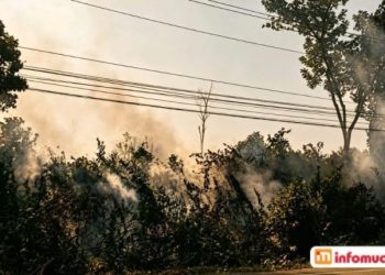 Musim Kemarau, Lahan Semak Belukar di Kawasan Islamic Center Muara Enim Terbakar 