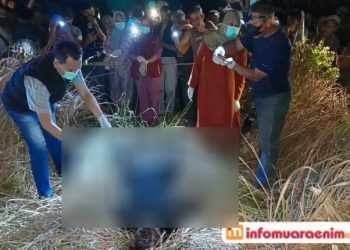 Mayat Ditemukan di Semak Belukar, Kapolsek Lembak : Jenazah Warga Ibul Belida Darat 