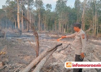 Lahan Sawit Terbakar,  Polsek Gunung Megang : Buka Lahan dengan Membakar Bisa Dipidana