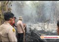Mencekam!! Karhutla Terjadi di Desa Sigam Gelumbang, Tim Gabungan Padamkan Api Sebelum Meluas 