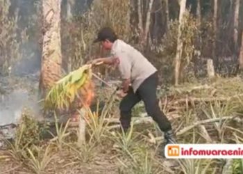 Gercep Polsek Gunung Megang Padamkan Karhutla di Belimbing Jaya 