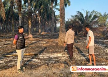 Ground Check Titik Hotspot di Bangun Sari, Polsek Gunung Megang Ajak Warga Cegah Karhutla
