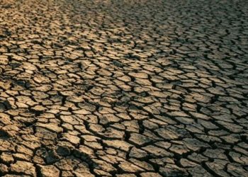 Kekeringan Melanda, Puncak Kemarau Diprediksi Akhir September 2026