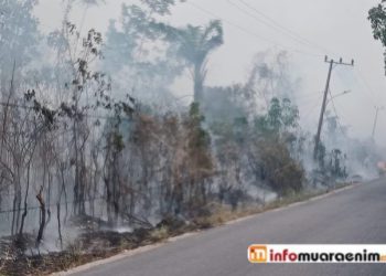 Diduga Percikan Api Korsleting Listrik Pemicu Terbakarnya Lahan & Kebun Warga di Karang Endah Gelumbang
