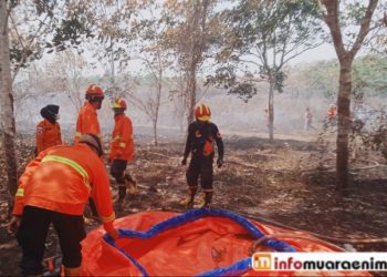 Berbagai Upaya Telah Dilakukan, Karhutla Teluk Limau Gelumbang Makin Mengganas