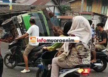 Truk Bermuatan Buah Sawit Terguling Beruntung Tak Ada Korban 