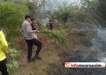 Personil Polsek Gunung Megang dan Warga Berjibaku Padamkan Kebakaran Lahan Sawit & Karet di Simpang Tanjung