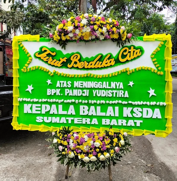 New Image