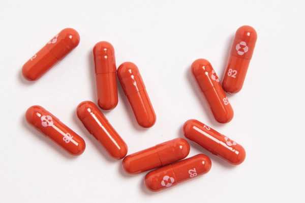 Ampuh Obati Covid-19, Harga Molnupiravir Rp10 Juta untuk Satu Pasien