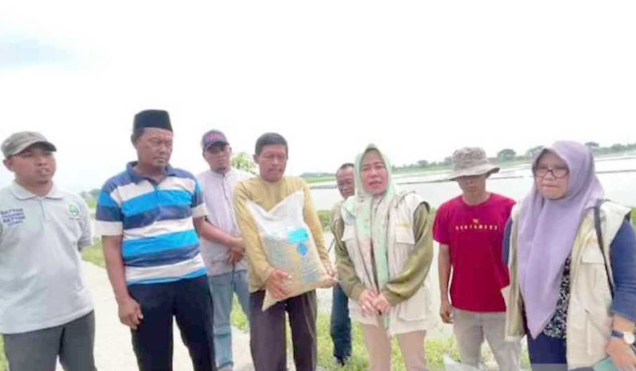 Bekasi Salurkan Benih Padi