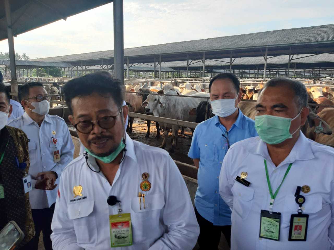 Cegah Kelangkaan, Mentan Cek Stok Daging