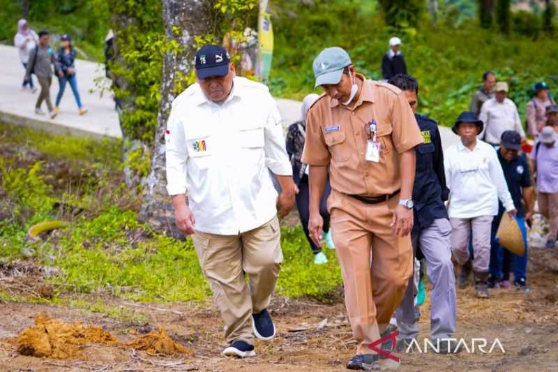 Kementan: Potensi Areal Tanam Padi Gogo di Kaltim 7.787 Hektare
