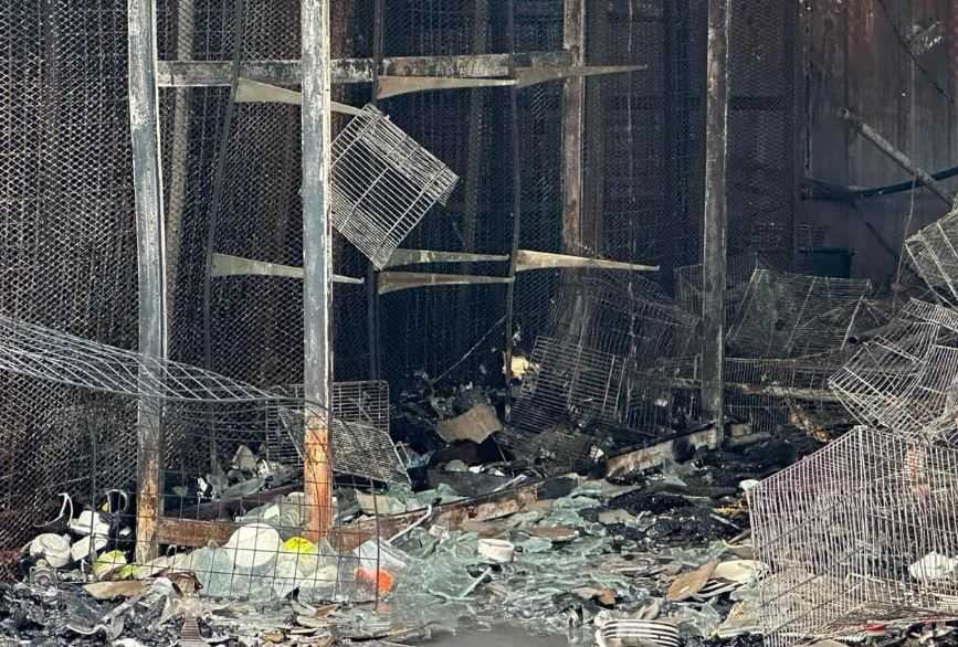Pasar Hewan Terbesar di Thailand Terbakar, 1.000 Ekor Hewan Mati