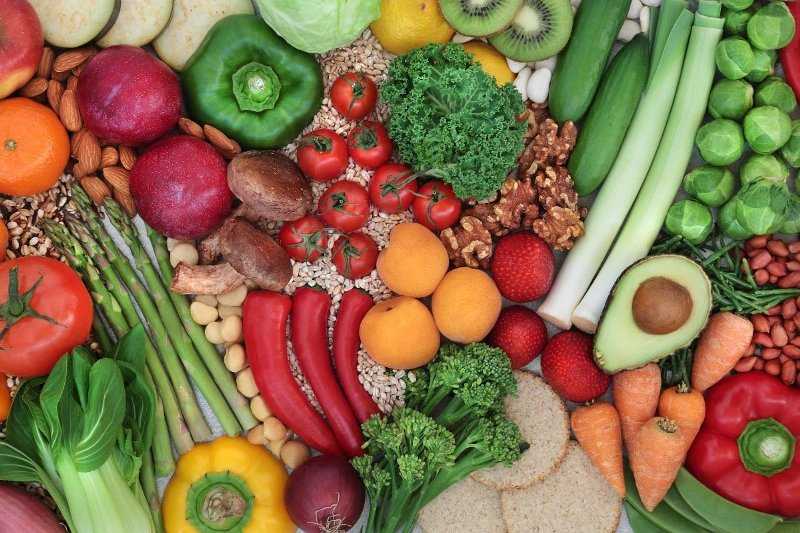 Pembentukan Mikrobiota Usus Perlu Asupan Nutrisi yang Tepat