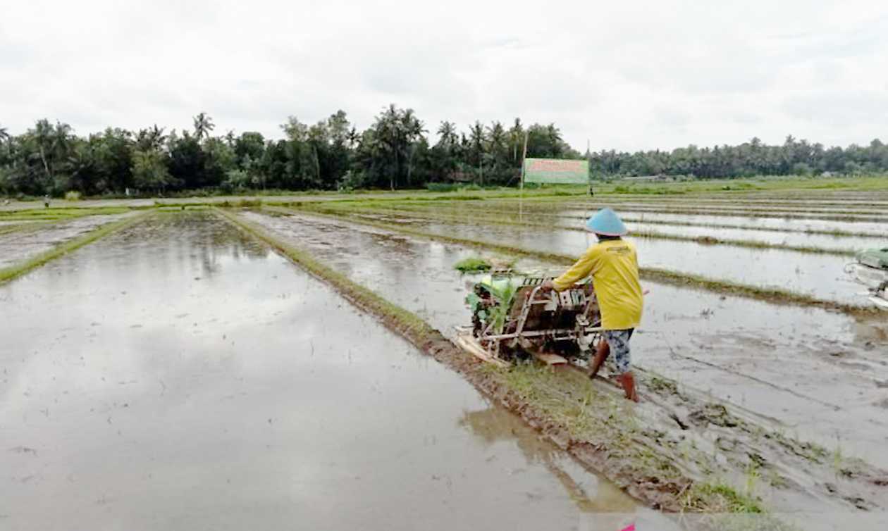 Pemkab Bantul Minta Petani Berinovasi Kembangkan Sektor Pertanian