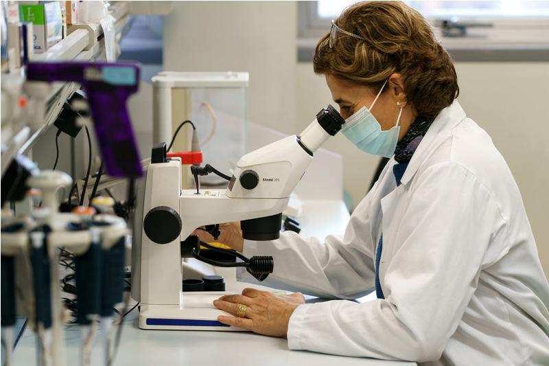 Masih Menyisakan Banyak Pertanyaan	