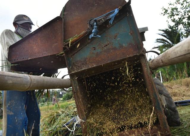 Serap Gabah Petani