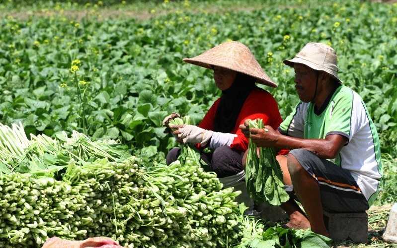 Skema Regeneratif Atasi Dampak Perubahan Iklim