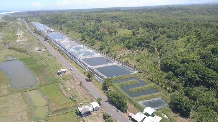 Tambak Udang Gerakkan Ekonomi Masyarakat Cianjur