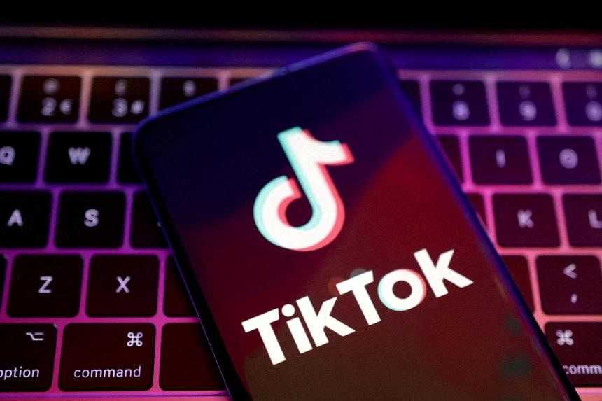 TikTok Gagal dalam Uji Disinformasi tentang Pemungutan Suara di UE