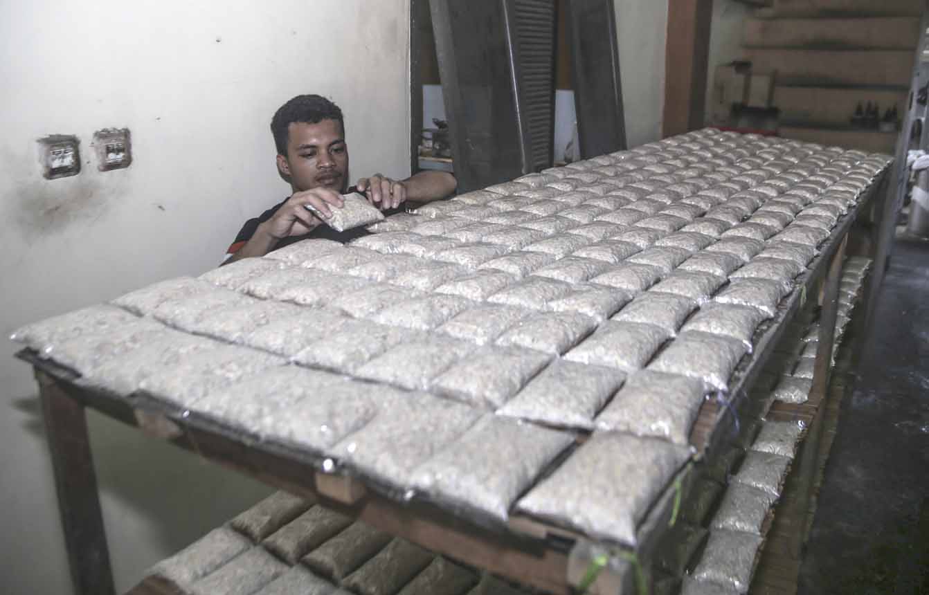 Foto: Harga Kedelai Melonjak di Ternate
