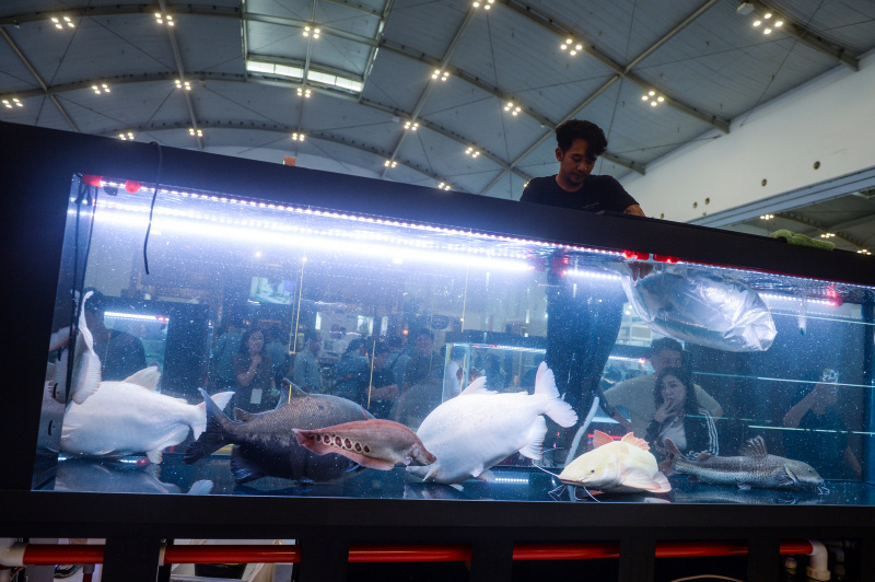 Foto: Pameran Nusatic Nusapet 2025