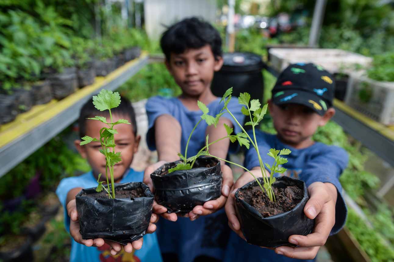 Edukasi “Urban Farming” Tangerang