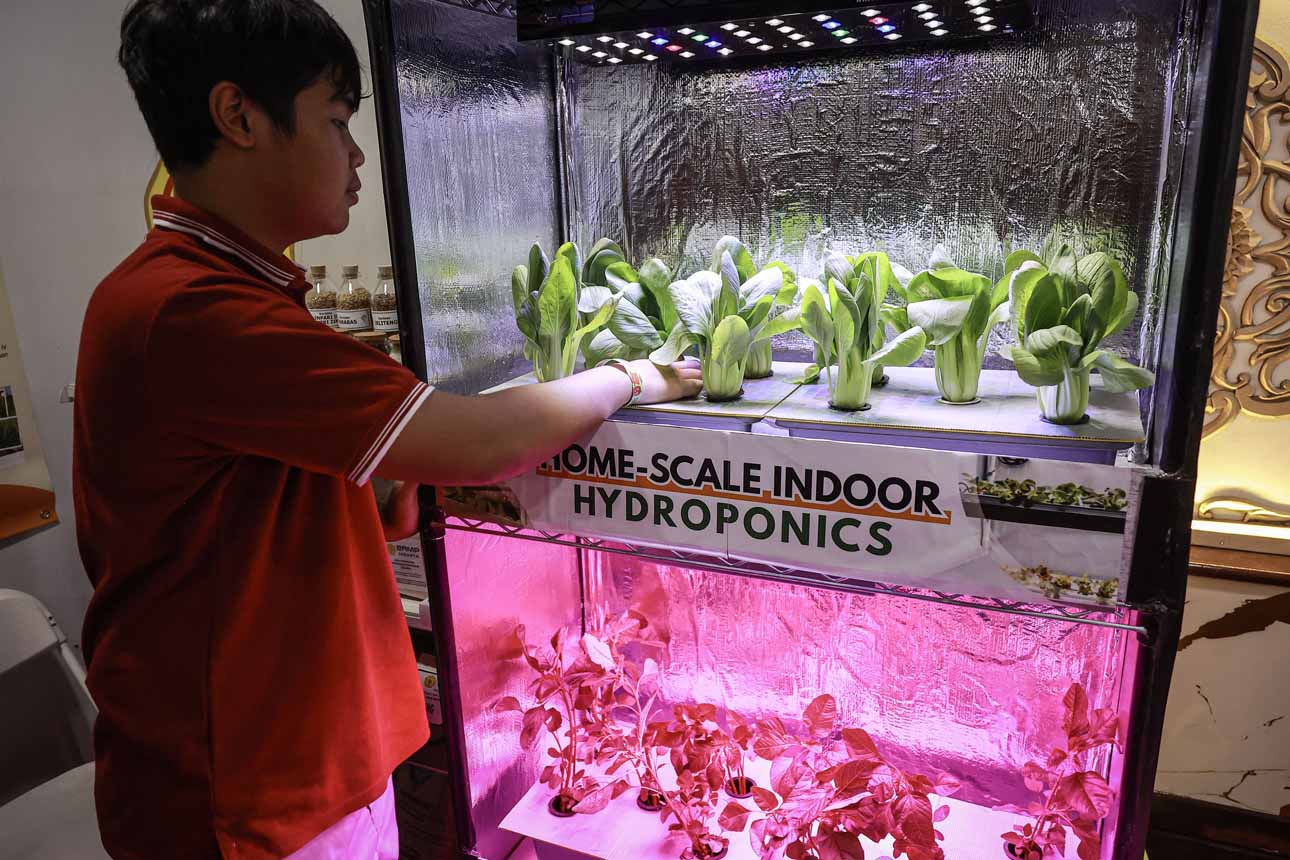 Berita Foto : Festival Urban Farming 2025