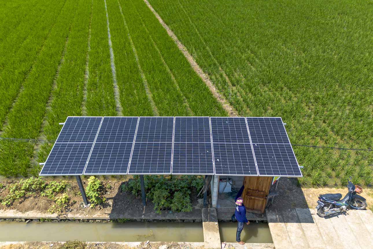 Foto: Energi Surya Gerakkan Pompa Irigasi Sawah di Indramayu