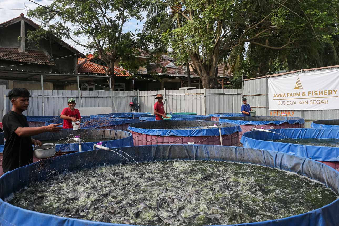 Tata Cara Pinjaman Koperasi Merah Putih Berdasarkan PMK 49 Tahun 2025