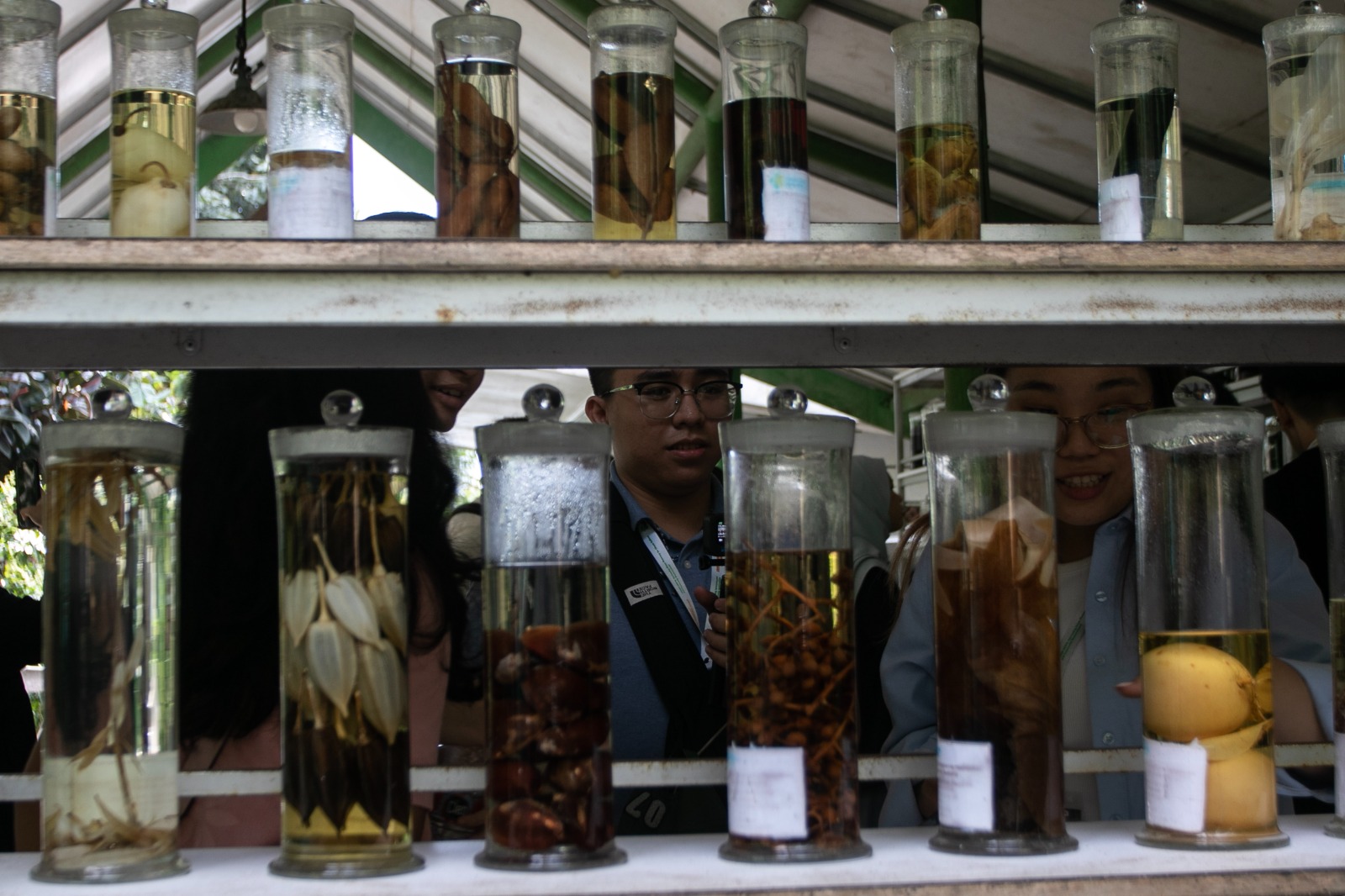 Eduwisata di Hortus Medicus