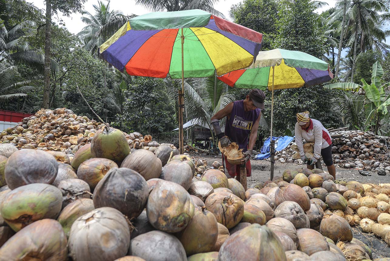 Foto: Kebijakan Hilirisasi Produk Unggulan daerah Halmahera Utara