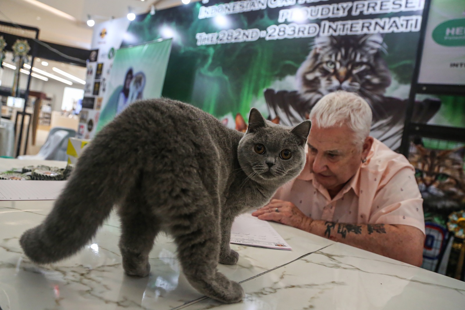 International Cat Show 2025 di Semarang