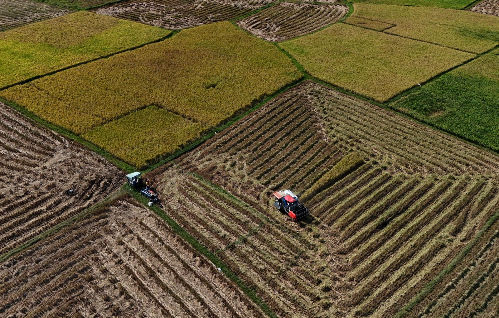 Berita Foto : Nilai tukar petani di Sulsel menurun
