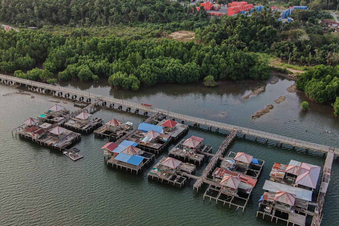 Upaya Percepatan Program Rehabilitasi Mangrove
