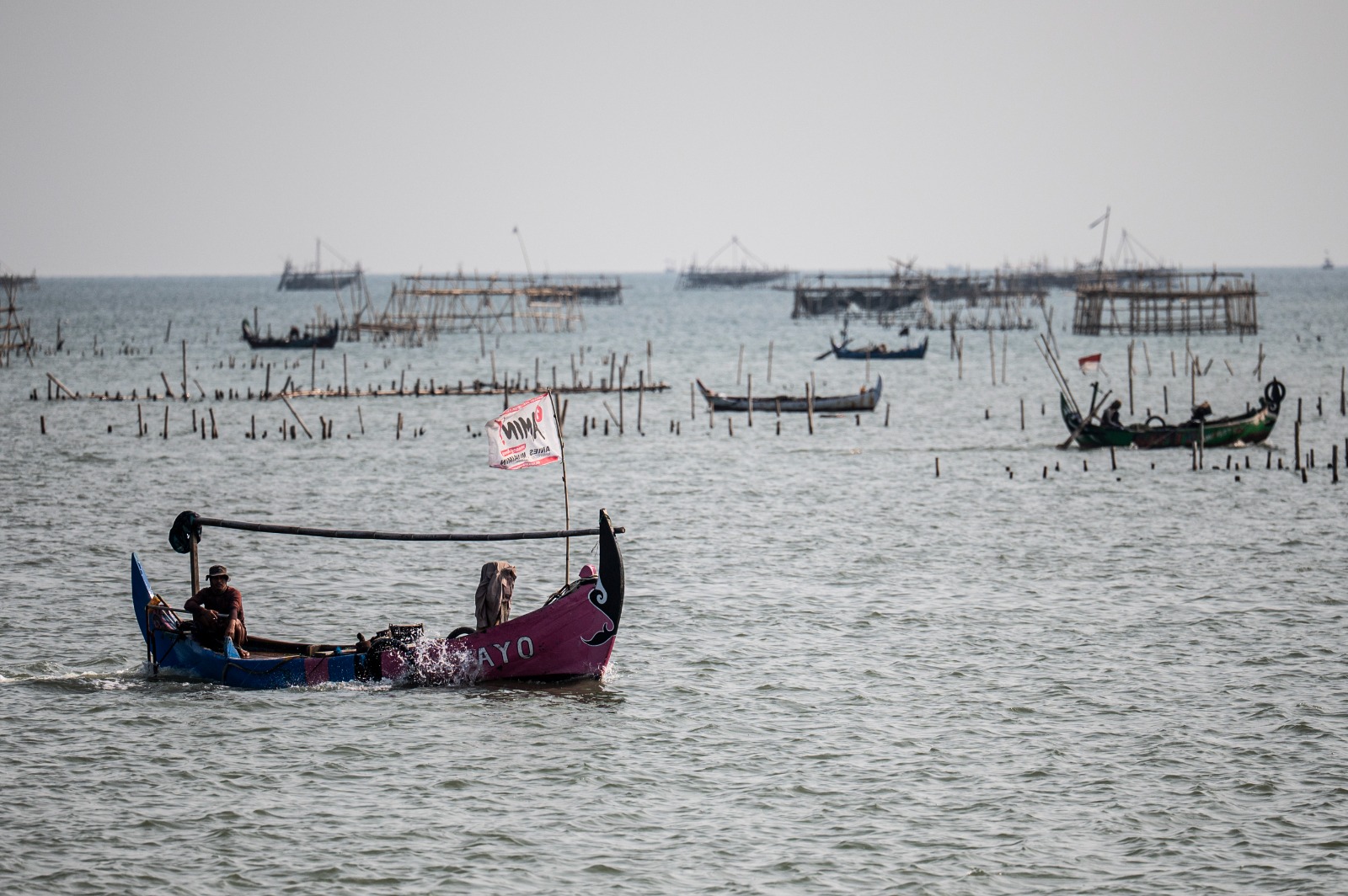 Berita Foto : Upaya pemulihan populasi ikan tangkap