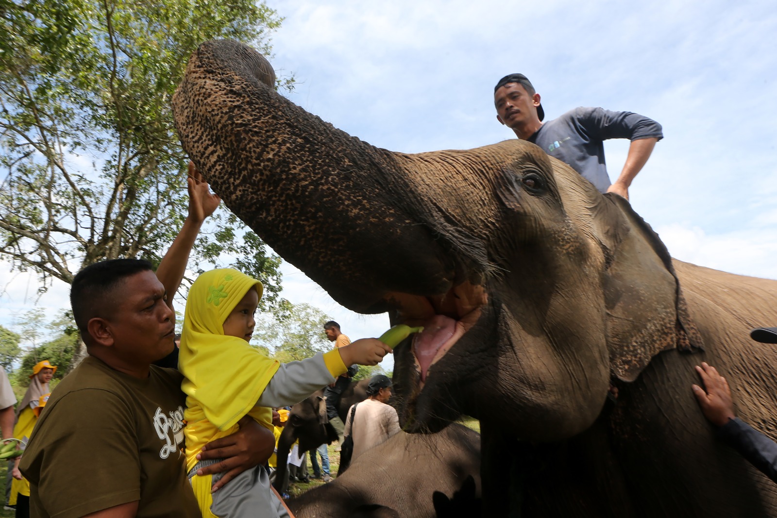 Aksi Pelajar saat memperingati Hari Gajah Sedunia