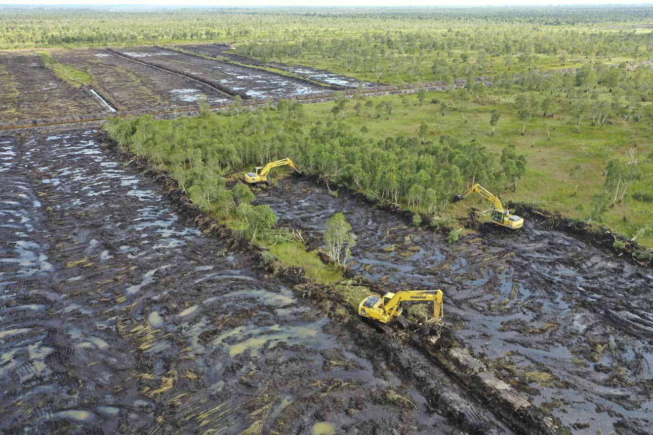 Dukung Ketahanan Pangan Kalsel Targetkan Cetak Sawah Rakyat