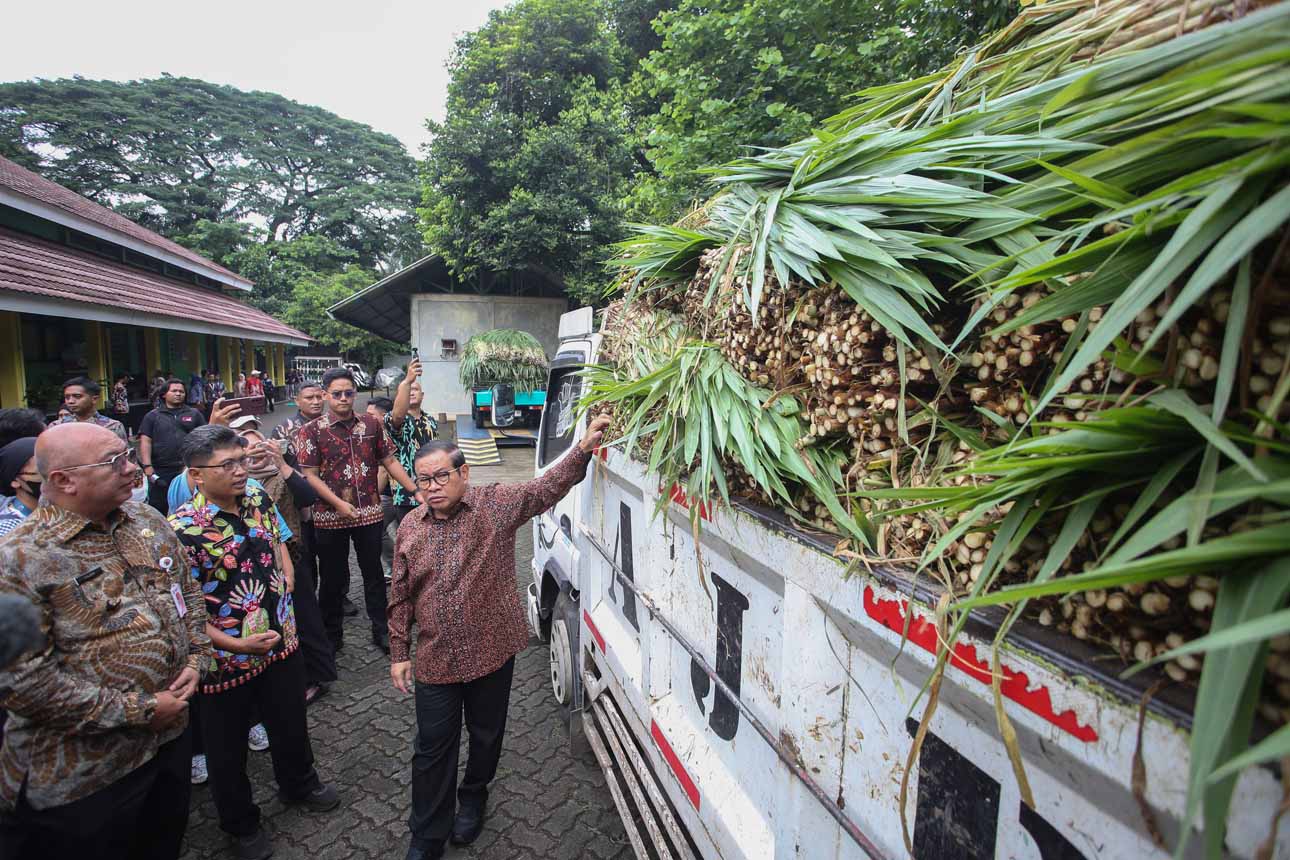 Foto: Gubernur DKI Pramono Anung Menjamin Tidak Ada Harimau Kelaparan di Ragunan – Berita Hari Ini dari Jakarta dan Seluruh Daerah di Indonesia