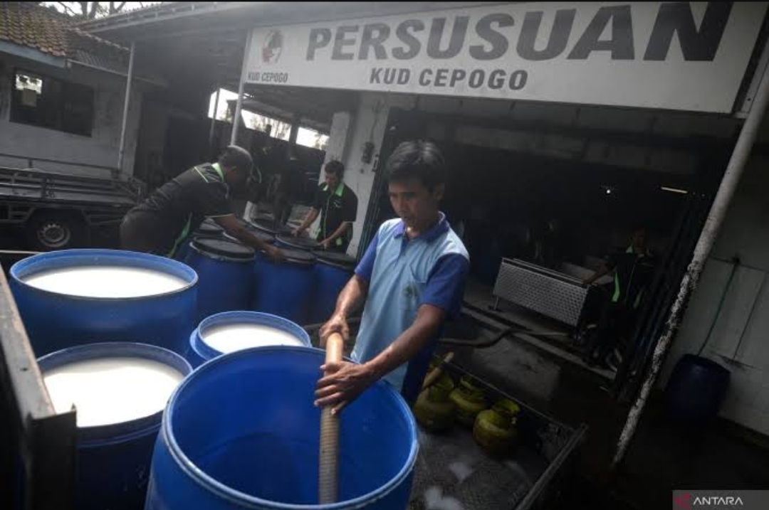 Bukan Cuma Simbol, Ada Peran Tersembunyi Kopdes Merah Putih bagi Desa! 
