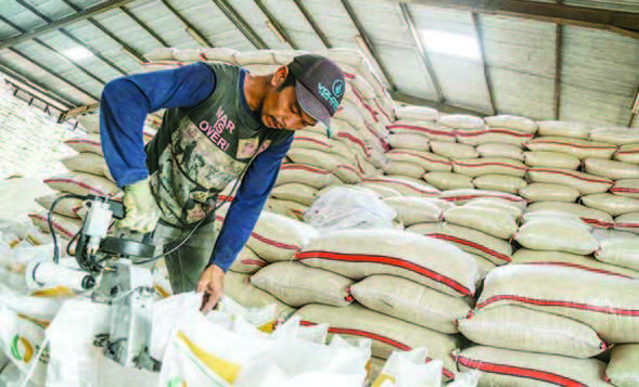 Hukum Berat Mafia Pangan yang Oplos Beras Subsidi Jadi Beras Premium