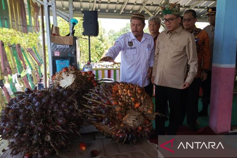 Mendes PDT: Kopdes Merah Putih Putus Rantai Pasok Barang