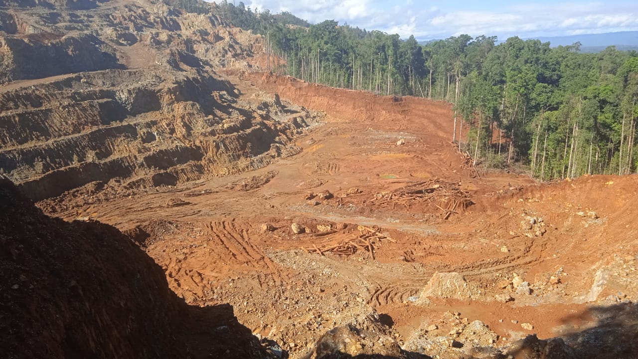 Indonesia Juara Dunia dalam Kehilangan Hutan! 369 Ribu Hektare Hilang Akibat Tambang