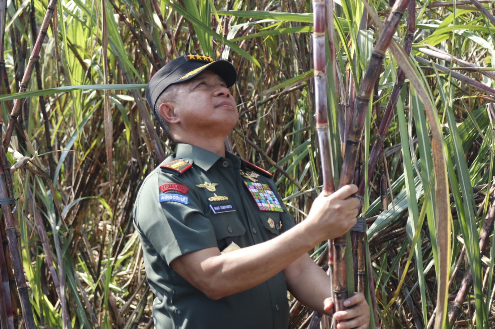 Panglima TNI Kawal Langsung Panen Tebu Untuk Swasembada Gula Nasional