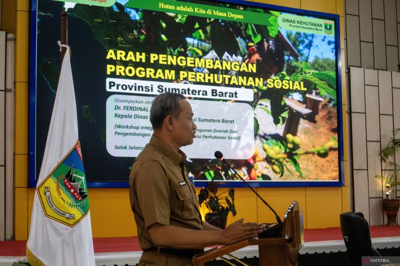 Sumbar Fokus Tingkatkan Kerja Sama dalam Program Perhutanan Sosial