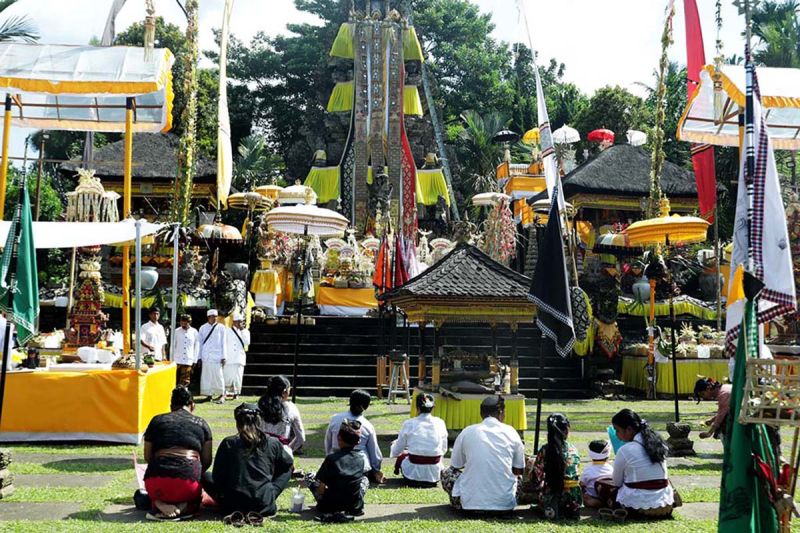 Lumajang Gelar Puja Wali Krama, Merajut Kebhinekaan dalam Ritual Budaya