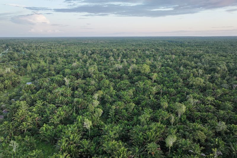 Distrik Konda Perjuangkan Pengakuan Hutan Adat Sepenuhnya
