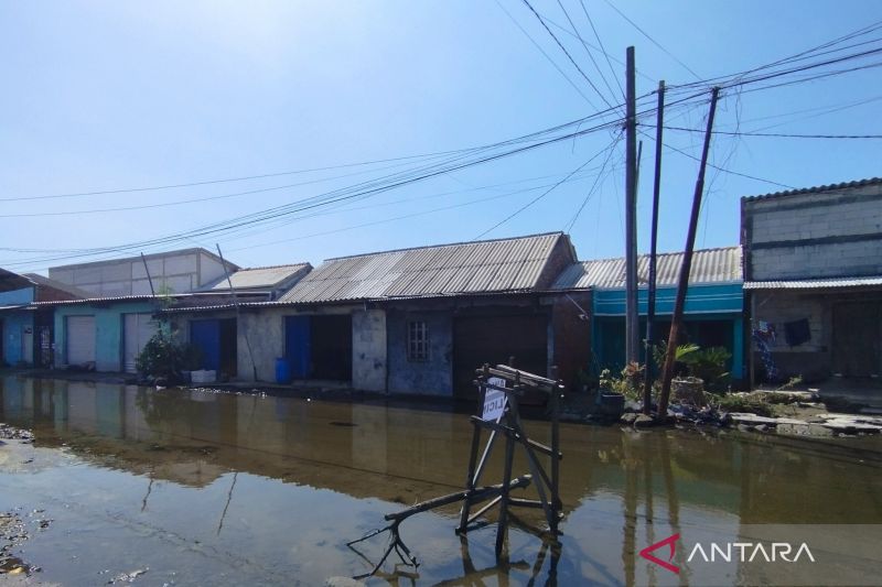 Demak Berharap Pemerintah P...